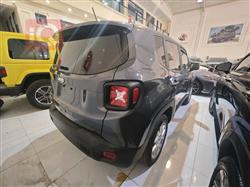 جيب رينيجيد